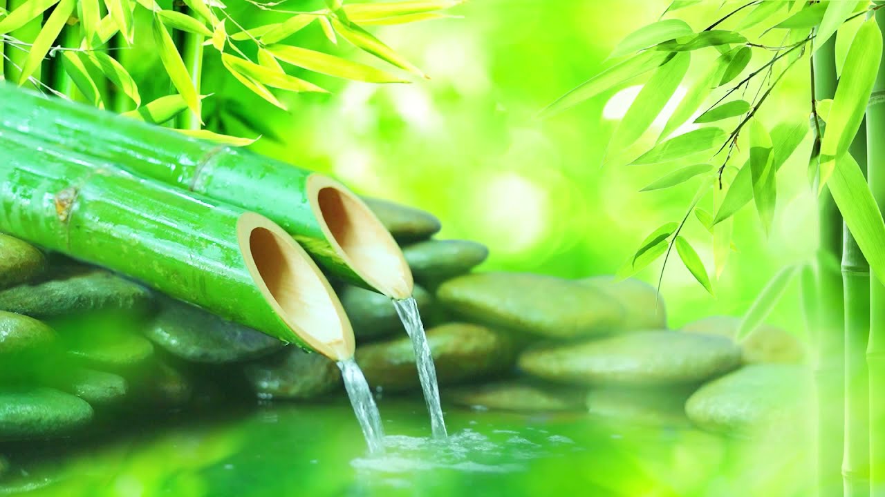 Bamboo Water Fountain Healing The Sounds Of Nature Bamboo Water