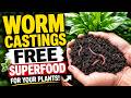 Making Worm Castings at Home: Your Garden's Superfood! 🪱✨