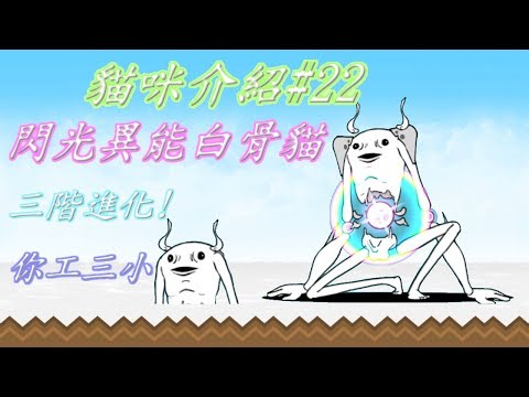 Wn 貓咪大戰爭不明白骨貓三階進化超人白骨貓