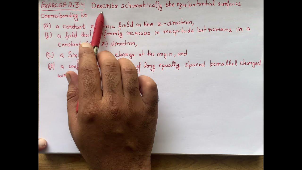 Describe schematically the equipotential surfaces corresponding to (a