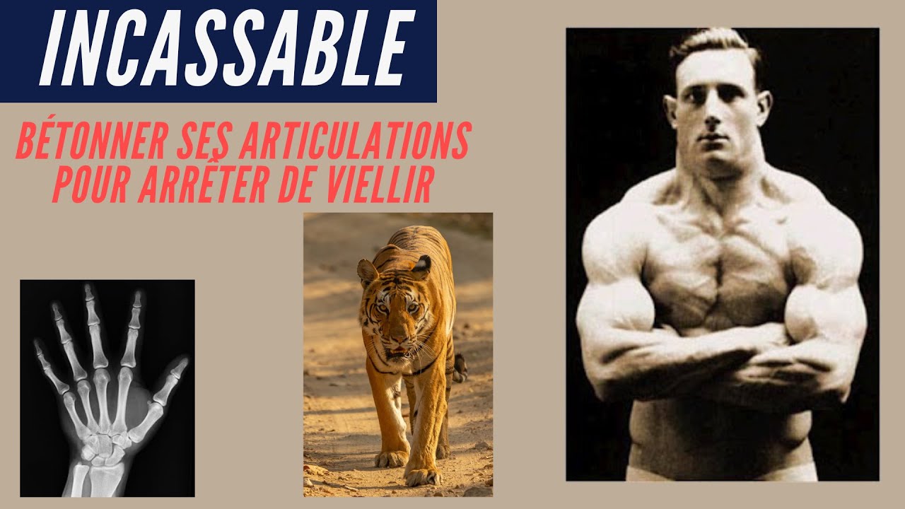 Les secrets pour se forger des articulations en béton et devenir antifragile