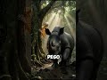 Los animales que están desapareciendo AHORA MISMO… y casi nadie lo sabe