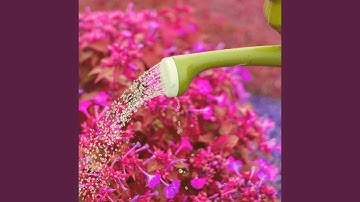 Opulent No Drums Jazz - Vibe for Clear Moods