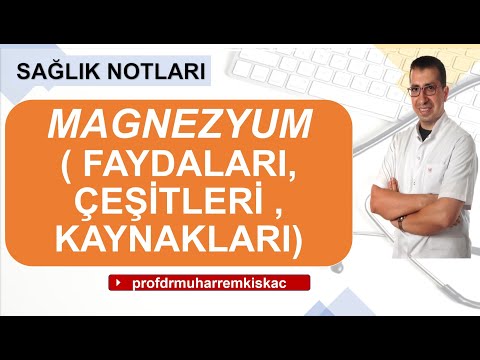 MAGNEZYUM ( FAYDALARI, ÇEŞİTLERİ VE KAYNAKLARI )