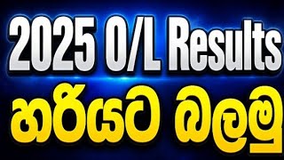2025 O/L Results Released Day | How to check Results