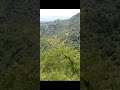 Nag hanap Ako ng Lupa na pwd mataniman ng Cacao