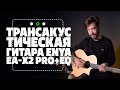 Трансакустика Enya. Шок 🤯 | gitaraclub.ru