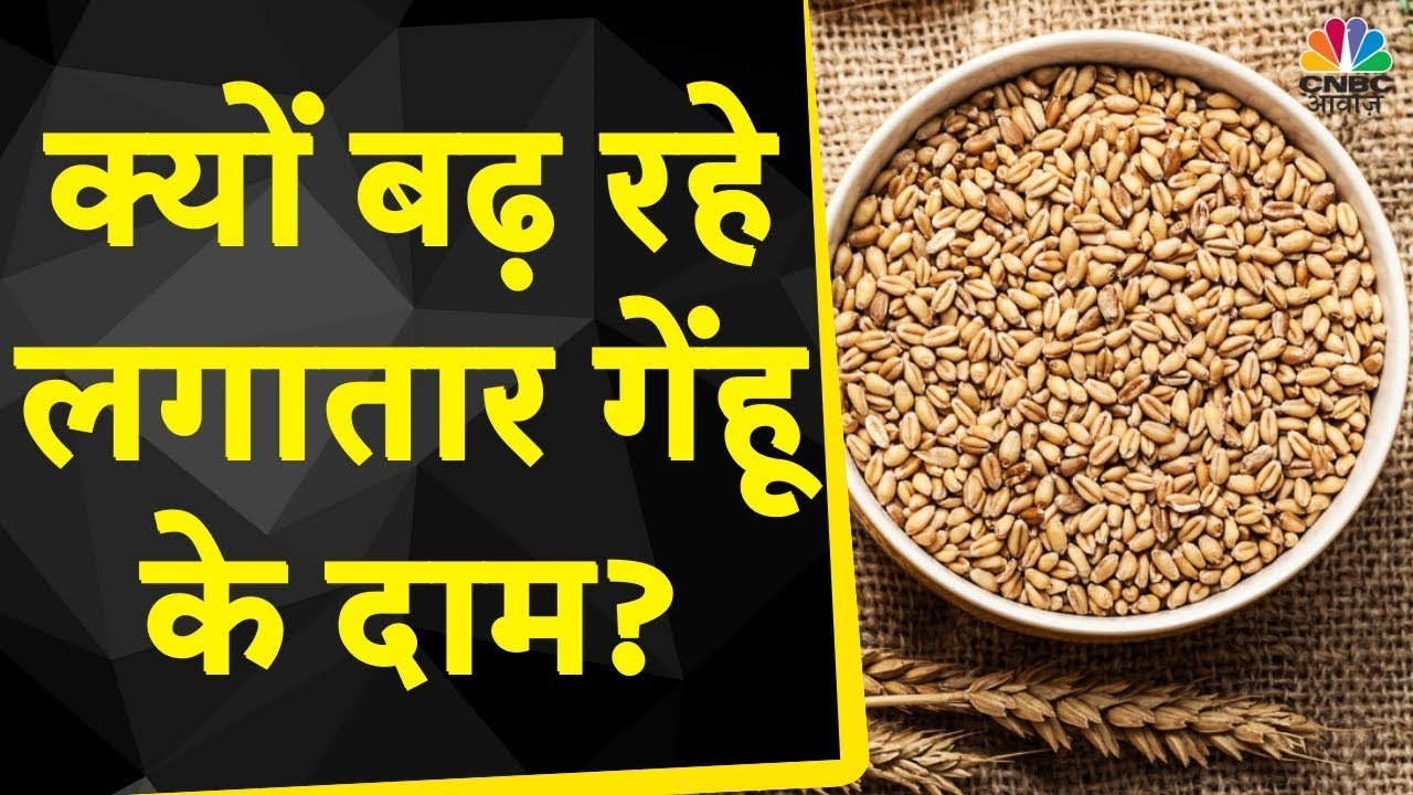 Wheat Price Hike News | क्या गेंहू के दाम होंगे कम या बढ़ने वाले है दाम ? | Commodity Market News