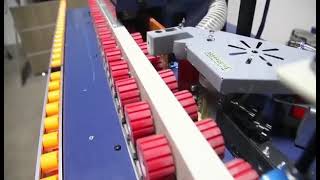 Small automatic edge banding machine
