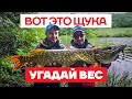 🎣 Ловля Щуки летом на ДИКАРЕ! + Конкурс! Щука на спиннинг