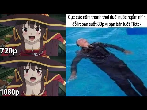 Ảnh chế P119 || Cục cứt nằm dưới nước ngắm nhìn bạn vì bận lướt Tik Tok || Meme for cylot