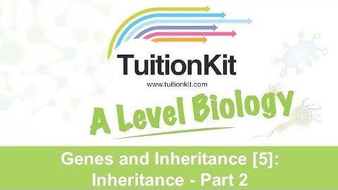 Genes and Inheritance [5]: Inheritance - Part 2 (High band Biology)