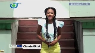 STV - AGRI Mag - (PRODUCTION du PALMIER à HUILE au CAMEROUN) - Jeudi 21 Juin 2018 - Claude ELLA