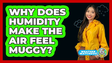 Why Does Humidity Make The Air Feel Muggy? - Weather Watchdog