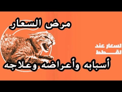 مرض السعار عند القطط وأسبابه وأعراضه وعلاجه والوقاية منه