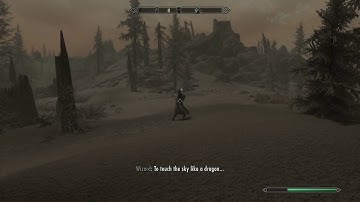 Skyrim Special Edition-Crazy Mage (Random encounter)