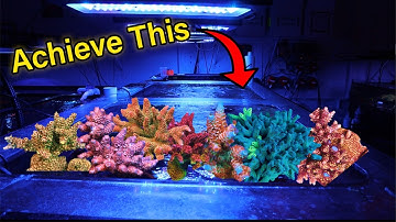 The Secret To Our SPS System!