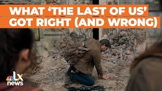 What 'The Last of Us' Got Right and Wrong About Cordyceps | LX News