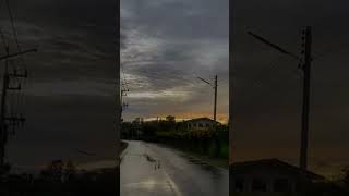 Life In The Rain - Suppattra Sumanik