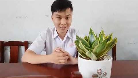 HÙNG BIỆN TIẾNG ANH - VÒNG SƠ KHẢO - MS: 10; LÊ MINH KHÔI