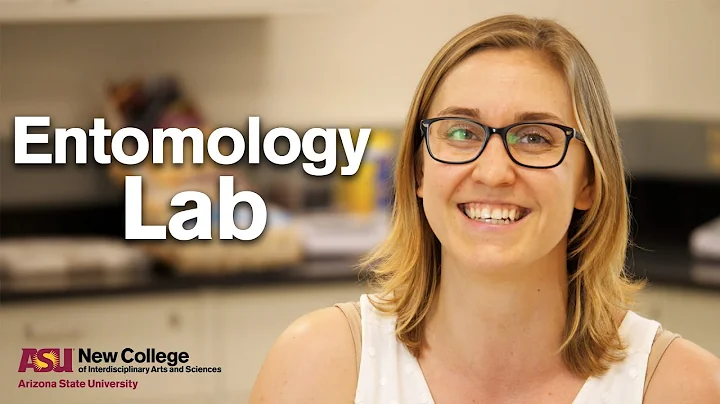 Behind the Lab Door: Forensic Entomology Lab