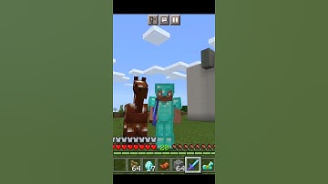 How to put Saddle 🏇 in Horse 👈 | #Shorts | Minecraft.
