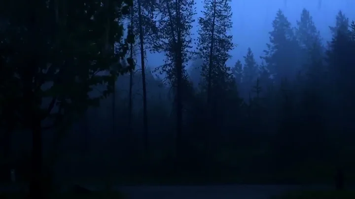 Sourat AlBaqra with Islam Alsubhi with (Rain & Thunder) | البقرة مع الشيخ اسلام الصبحي مع صوت المطر