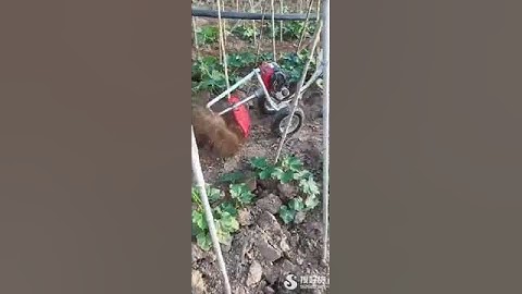 Máy cắt cỏ, xới đất, sạc cỏ đa năng động cơ Honda GX35 | Máy cắt cỏ đẩy tay giá rẻ LH: 0971.62.88.00