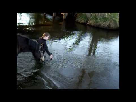 Kati & Rosi. geilste Aktion ;D - Kati & Rosi. geilste Aktion ;D