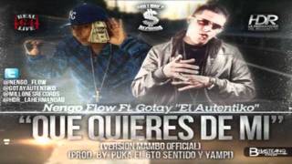 Ñengo Flow Ft Gotay El Autentiko - Que Quieres De Mi (Version Mambo)