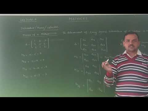 MATRIX AND DETERMINANTS(LECTURE