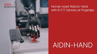 Human-sized Robotic Hand with 6-F/T Sensors at Fingertips