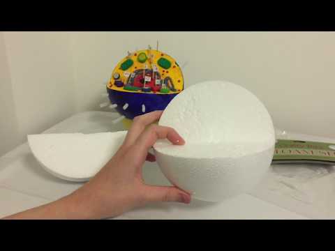 Video: Hvordan laver man en plantecelle ud af en Styrofoam-kugle?