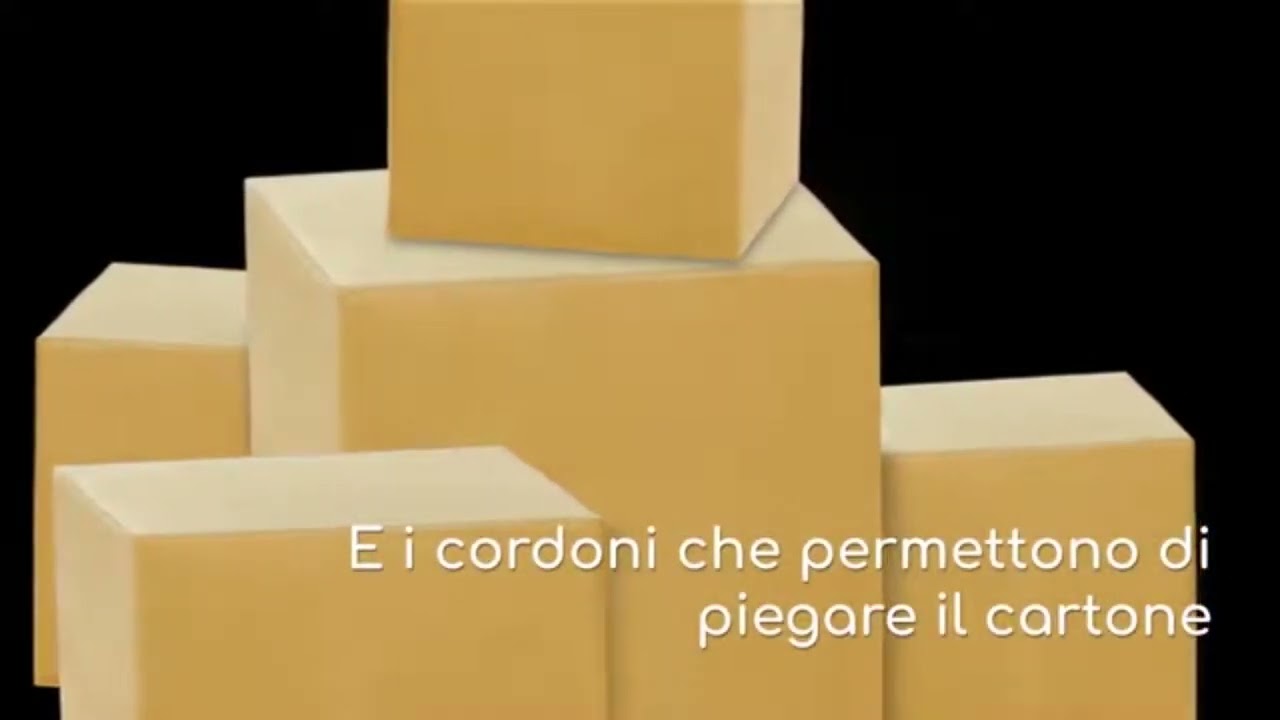 Come si produce una scatola in cartone? Scopri tutto il processo