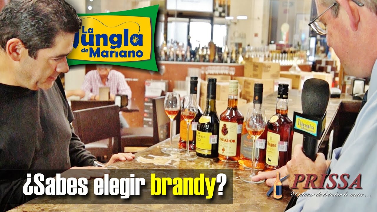 ¿Sabes elegir brandy?