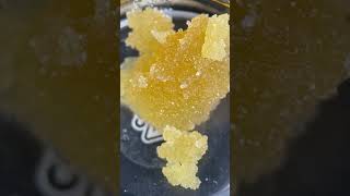 TWC Daily Dab // Girl Scout Cookies [Free Cannabis Co.]