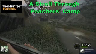 The Eloko and the Poachers | theHunter: Call of the Wild screenshot 4