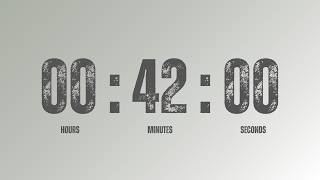 42 Minute Timer