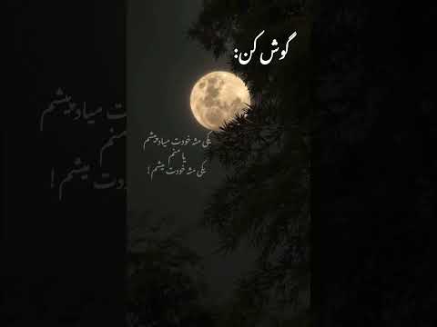 اگه به دلتون نشست حمایتتون باعث میشه این مسیر ادامه پیدا کنه خواننده دختر رشت زن طبیعت تتلو