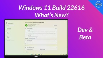 Windows 11 Build 22616: Fixes Explorer Performance, App Crashing, Swipe Functionality, and More