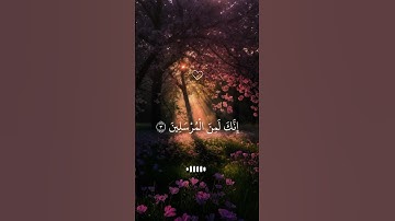 ✨ سورة يس بصوت عذب يريح القلب | تلاوة مؤثرة قصيرة#قرآن #سورة_يس #تلاوة #القرآن_الكريم#شورت #islam