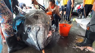 990 Lbs Super-Huge Bluefin Tuna Perfectly and Precisely Cut