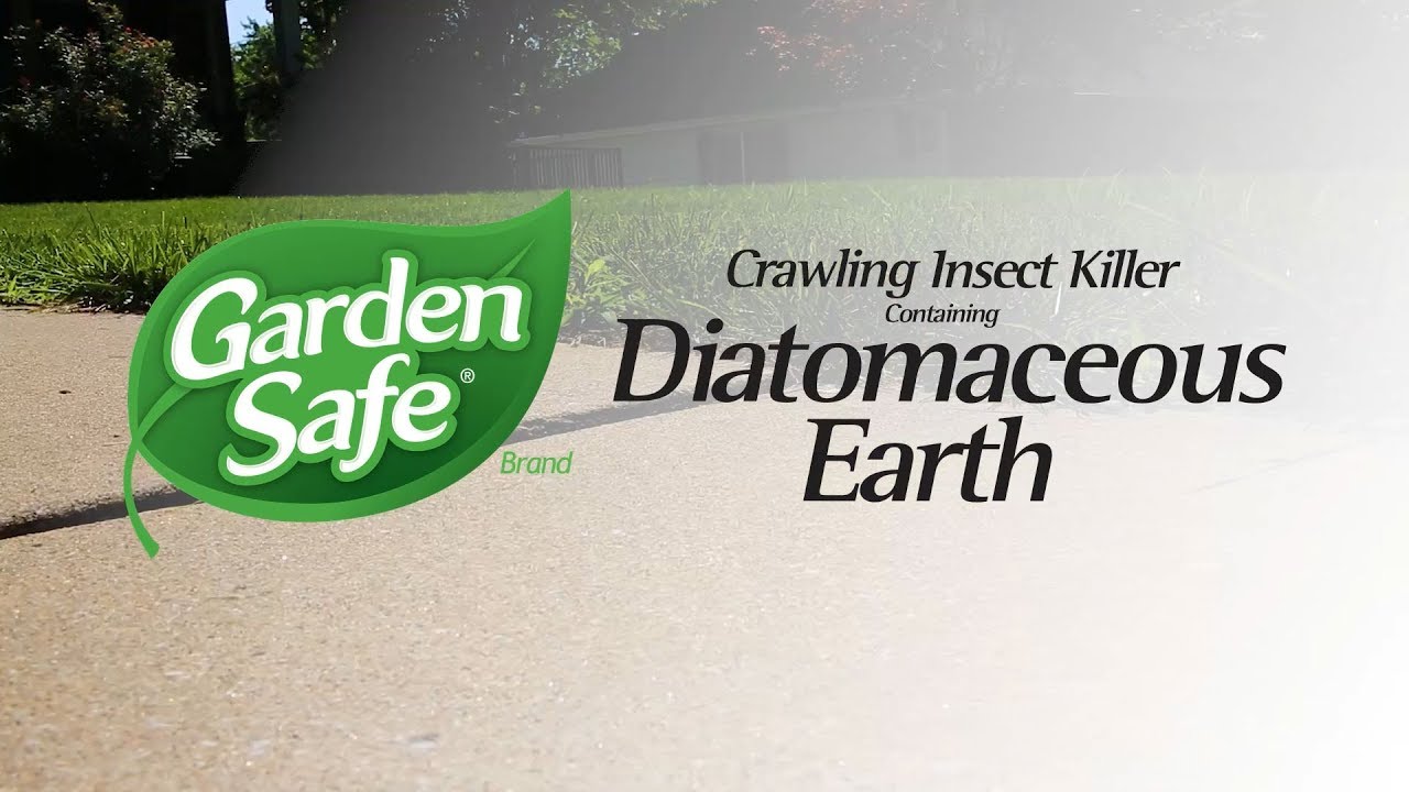 Garden Safe Brand Diatomaceous Earth Youtube