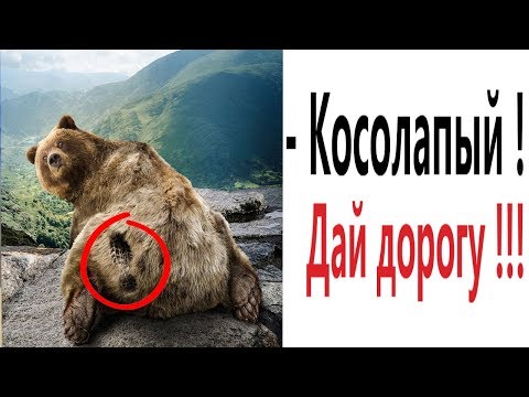 САМЫЕ СМЕШНЫЕ ВИДЕО МЕМЫ 2020! Убойная РЖАКА ДО СЛЁЗ - Domi Show!