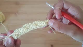 Tuto Crochet Facile Le Point Coquille Ou Coquillage Shell Stitch En Anglais