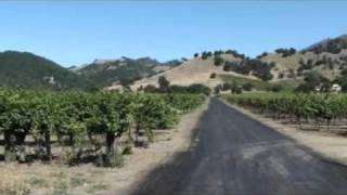 Cameron Parry of Chateau Montelena discusses the Calistoga AVA