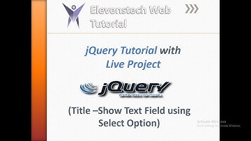Show Text Field Using Select Option in JQuery