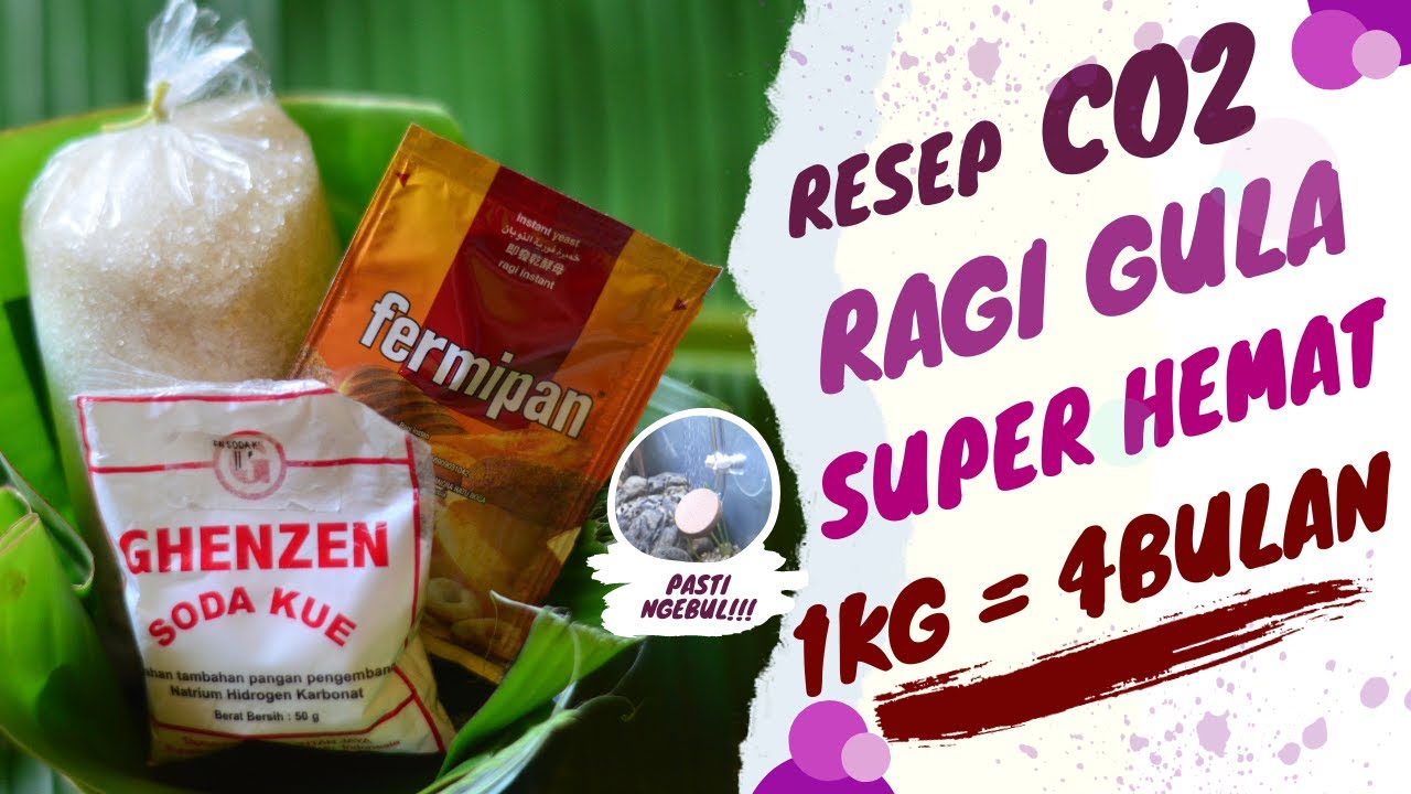 1 KG GULA PASIR UNTUK 4 BULAN PAKAI!!! Resep Takaran DIY CO2 Ragi Gula SUPER HEMAT!!! 1 KG GULA PASIR UNTUK 4 BULAN PAKAI!!! Resep Takaran DIY CO2 Ragi Gula SUPER HEMAT!!!