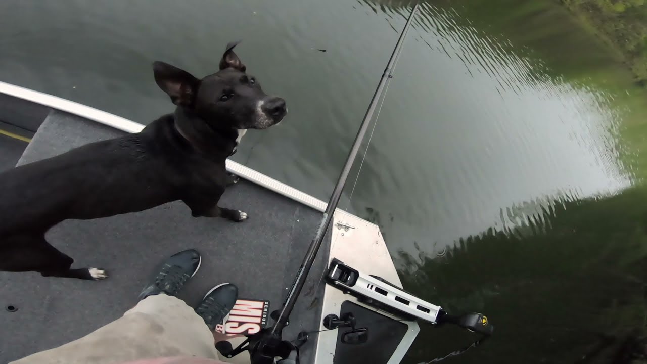 SPRING Bass Fishing, Marrowbone Lake!