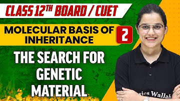 Molecular Basis of Inheritance 2 | The Search for Genetic Material | Class 12th/CUET